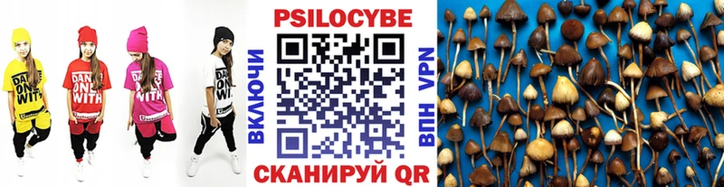 нарко площадка официальный сайт  MEGA вход  Кириллов  закладка  Галлюциногенные грибы мицелий 